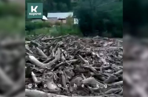 Qırğızıstanda bir ailənin altı üzvünü sel apardı - VİDEO