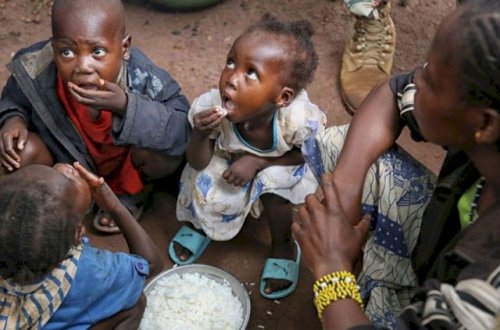 Dünyada 700 milyondan çox insan acdır - BMT