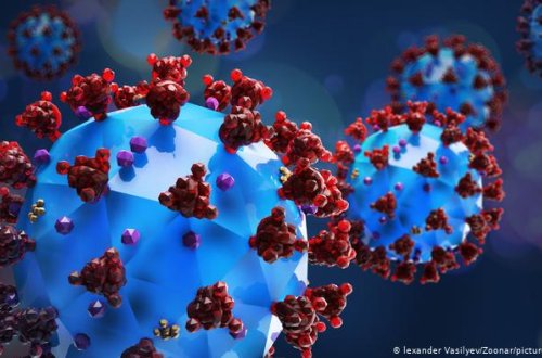 Azərbaycanda son sutkada koronavirusdan bir nəfər ölüb - FOTO