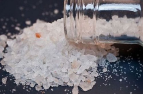 “Patı” Azərbaycanda necə yayılır?