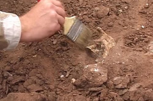 Azərbaycanın bu bölgəsində külçələr tapıldı - Kənd nəzarətə götürüldü (FOTO)