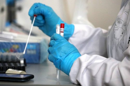 Gürcüstanda Hindistan ştammına yoluxanların sayı 80-ə çatdı