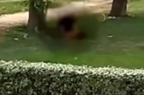 Qış parkında qadın və kişinin intim görüntüləri yayıldı - DİN-dən AÇIQLAMA