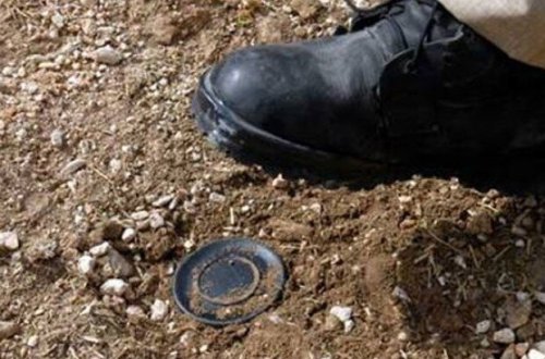 Prokurorluq Göygöldə minaya düşən çobanla bağlı MƏLUMAT YAYDI