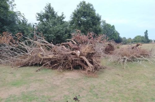 Ekologiya və Təbii Sərvətlər Nazirliyi “Beta” şirkəti ilə müqaviləyə xitam verə bilər