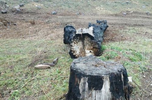 Ermənistanın törətdiyi ekoloji terrorla bağlı beynəlxalq platformalarda iddialar qaldırılacaq - RƏSMİ