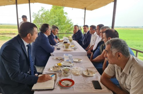 Kənd təsərrüfatı naziri İnam Kərimov Samuxda günəbaxan əkən fermerlərlə görüşüb, heyvandarlıq müəssisəsinə və intensiv bağlara baş çəkib