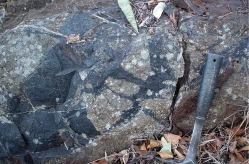 Dünyanın ən qədim mikrobları aşkar edilib