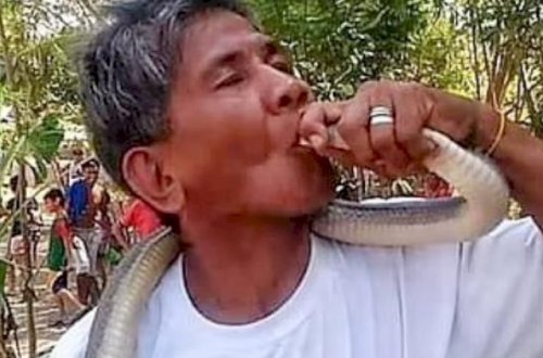 Kuryoz hadisə: İlanların “tanrı“sıyam deyən şəxsi ilan belə öldürdü