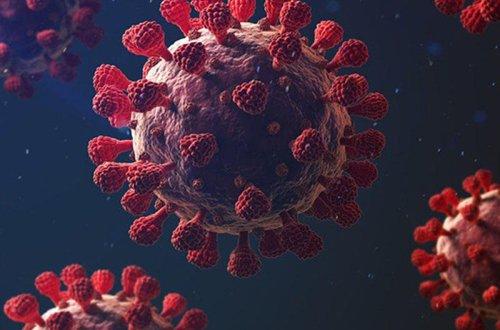 Daha təhlükəli ştammlar yarana bilər - ÜST