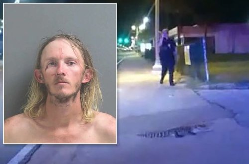 Житель Флориды пытался забросить аллигатора на крышу дома, чтобы преподать ему урок