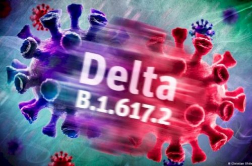 “Delta ştammı daha çox arıq və az çəkili adamları tutur“ - Rusiyalı həkim