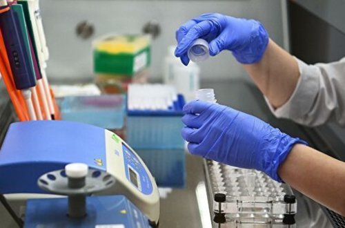 Обнаружен штамм активных против COVID-19 лактобактерий