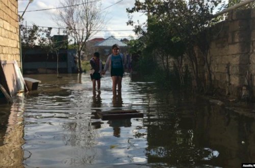 Lerikdə təbii fəlakət: “Sel bütün toyuq-cücəni apardı”