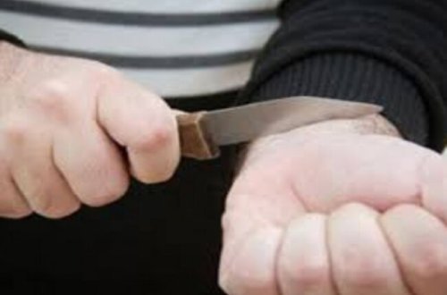 Dostunu öldürdü, öz qolunu da kəsib atdı - Azərbaycanda ŞOK - VİDEO