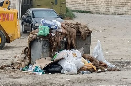 Qurban bayramından sonra yaranan ürəkbulandıran mənzərə - FOTO