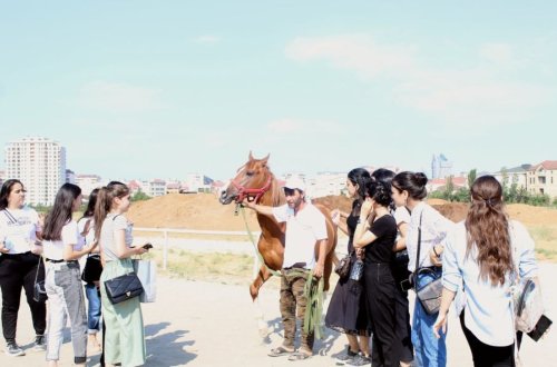 “Davam” “Qarabağ atları” layihəsinə start verib