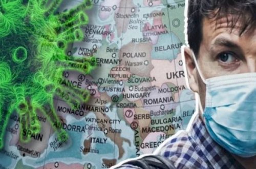 Yarasalarda yeni növ korona aşkarlandı