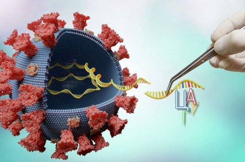 Hər il koronavirusun 2 ştamı yarana bilər - Bədbin proqnoz