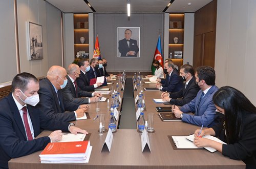 Azərbaycan və Serbiya XİN rəhbərləri görüşdü - Fotolar