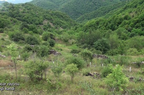 İşğaldan azad olunmuş Günəşli kəndi - VİDEO