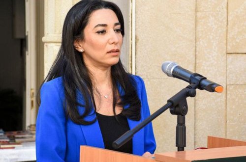 Ombudsman sərhəddə baş verən gərginliklə bağlı bəyanat verib