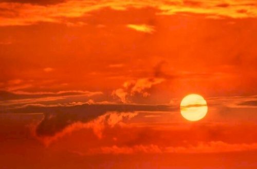 Dəhşətli istilər yaponların axırına çıxır: Bir həftədə 23 nəfər öldü