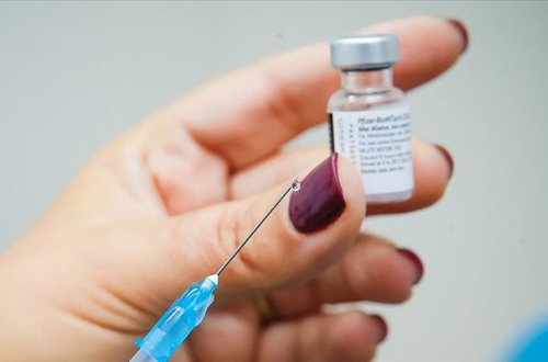 Bu gün rekord sayda peyvənd vurulub