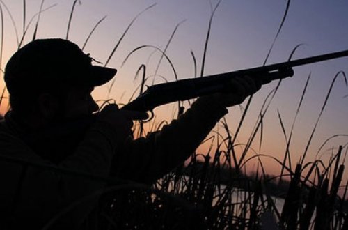 Qanunsuz ov edən şəxslər cəzalandırılıb