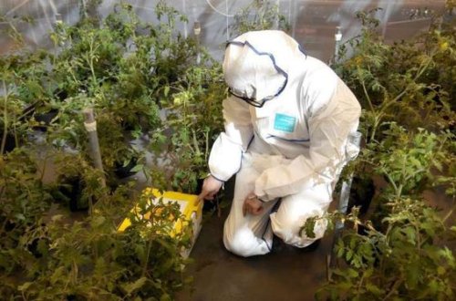 Fermerlərin NƏZƏRİNƏ: Agentlikdən virusla bağlı XƏBƏRDARLIQ