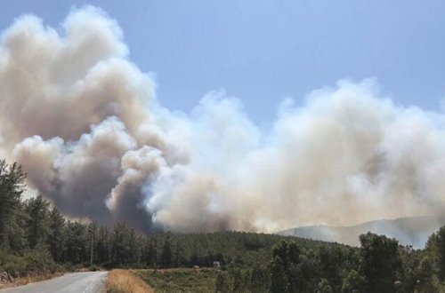 Türkiyədə yanğınlarda xəsarət alanların sayı açıqlandı