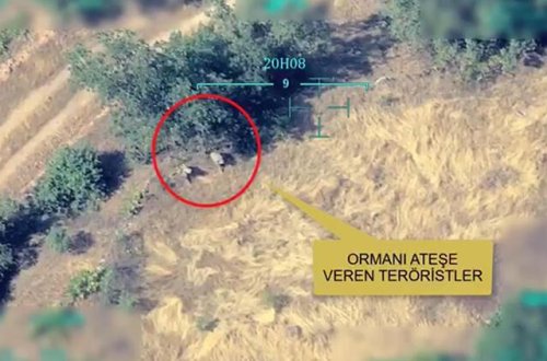 Türkiyədə meşə yanğınlarını törədən şəxslər “iş başında” yaxalandı – ANBAAN VİDEO