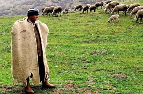 Samuxda qətl: Çoban ferma sahibini ÖLDÜRDÜ