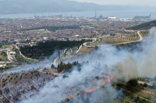 İstanbulda meşə sahələrinə giriş qadağan edildi