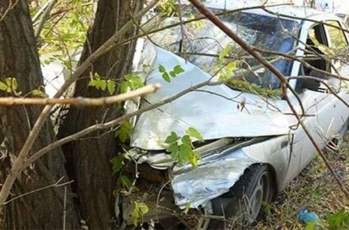 Zaqatalada avtomobil ağaca çırpılıb: Üç nəfər xəsarət alıb