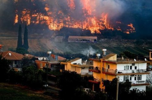 Cahit Bağçı Türkiyədəki meşə yanğınları ilə bağlı son vəziyyəti açıqladı - FOTO