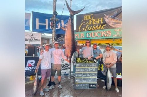 136 kiloqramlıq balıq tutub 922 MİN MANAT QAZANDILAR - FOTO-VİDEO