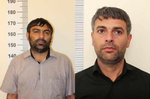 Oğuzda mal-qara oğurlayan qardaşlar saxlanılıb - VİDEO