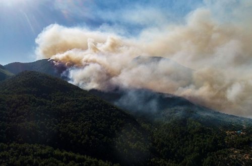 Türkiyənin daha iki bölgəsində yanğın başladı