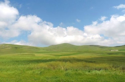 Yaylaqda köməksiz qalan şəxs xilas edildi