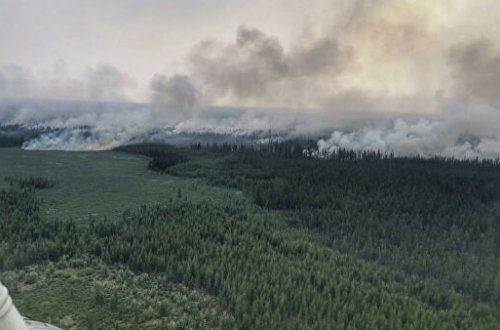 Rusiyadakı meşə yanğınlarının fəsadları Qrenlandiyaya çatıb
