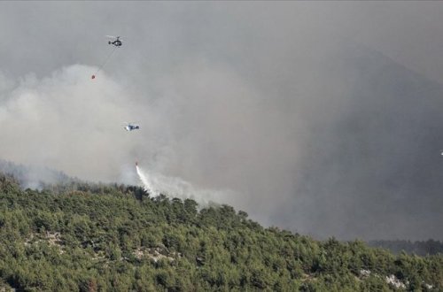 Türkiyədən şad xəbər: 134 yanğın nəzarət altına alındı