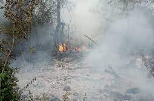 SON DƏQİQƏ: Yardımlıda meşə yanğınları davam edir - Helikopter göndərildi