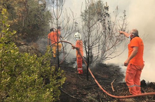 Türkiyədə əksər meşə yanğınları lokallaşdırılıb
