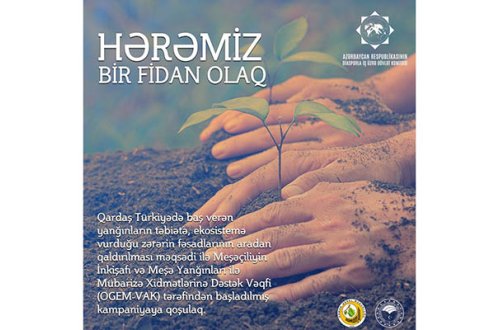 Dünya azərbaycanlılarının Türkiyəyə həmrəylik nümayişi