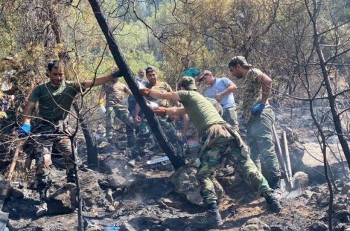 FHN-in yanğınsöndürmə qüvvələri Türkiyədə yanğınlarla mübarizəni davam etdirir – FOTO/VİDEO