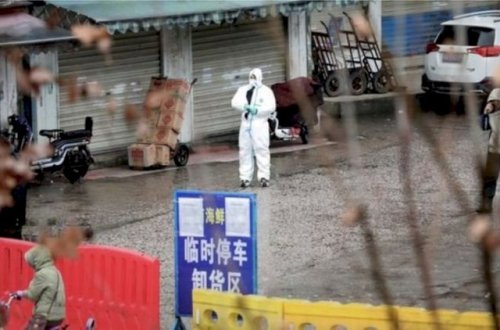 Koronavirus heyvanlar arasında geniş yayılıb