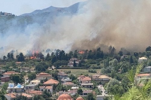Külək meşə yanğınlarını Yunanıstana qovdu