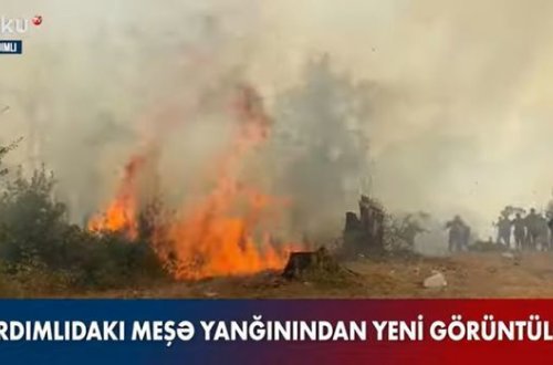 Обнародованы новые кадры лесного пожара в Ярдымлы - ВИДЕО