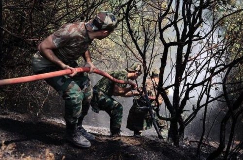 Türkiyə və Azərbaycan yanğınsöndürənləri Dənizli bölgəsindəki yanğını söndürüb